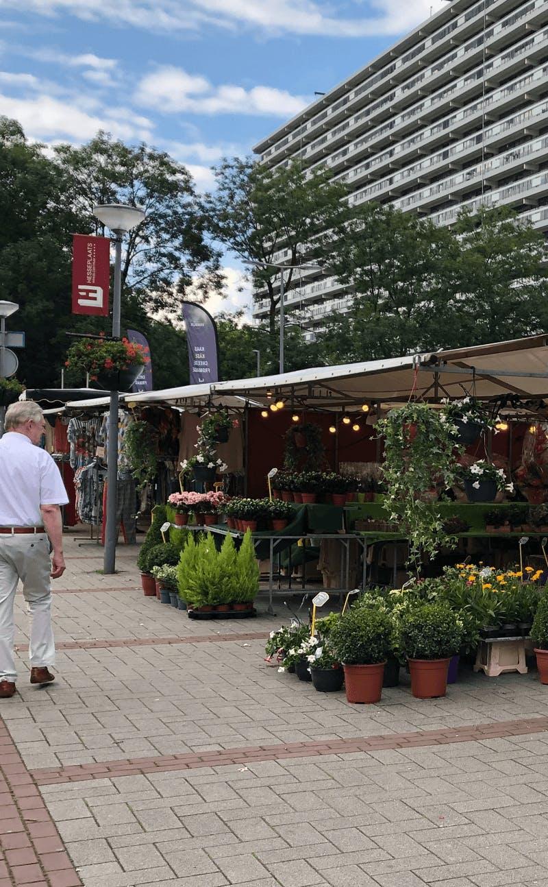 Photo of a market stall in Rotterdam with plants on sale. Image belongs to the project 'The public markets of Rotterdam' by Business Design Agency